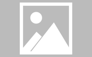 伊春网页设计师周记（网页设计周记26篇300字）