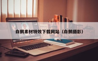 伊春白鹅素材特效下载网站（白鹅摄影）